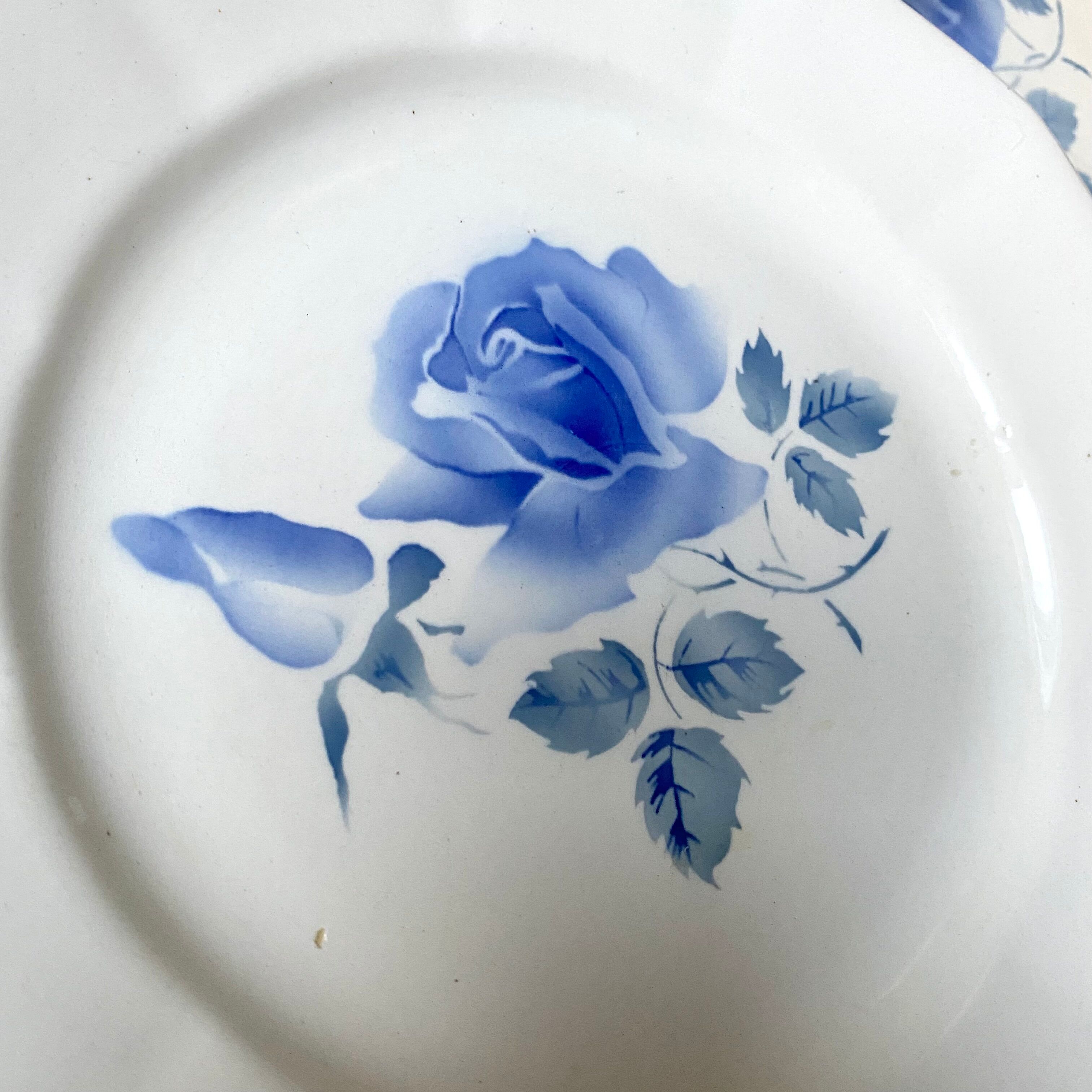 Old plates digoin pink blue