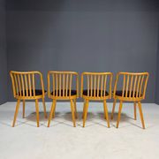 Dining chair set by Antonín Šuman, Czechoslovakia, 1970
