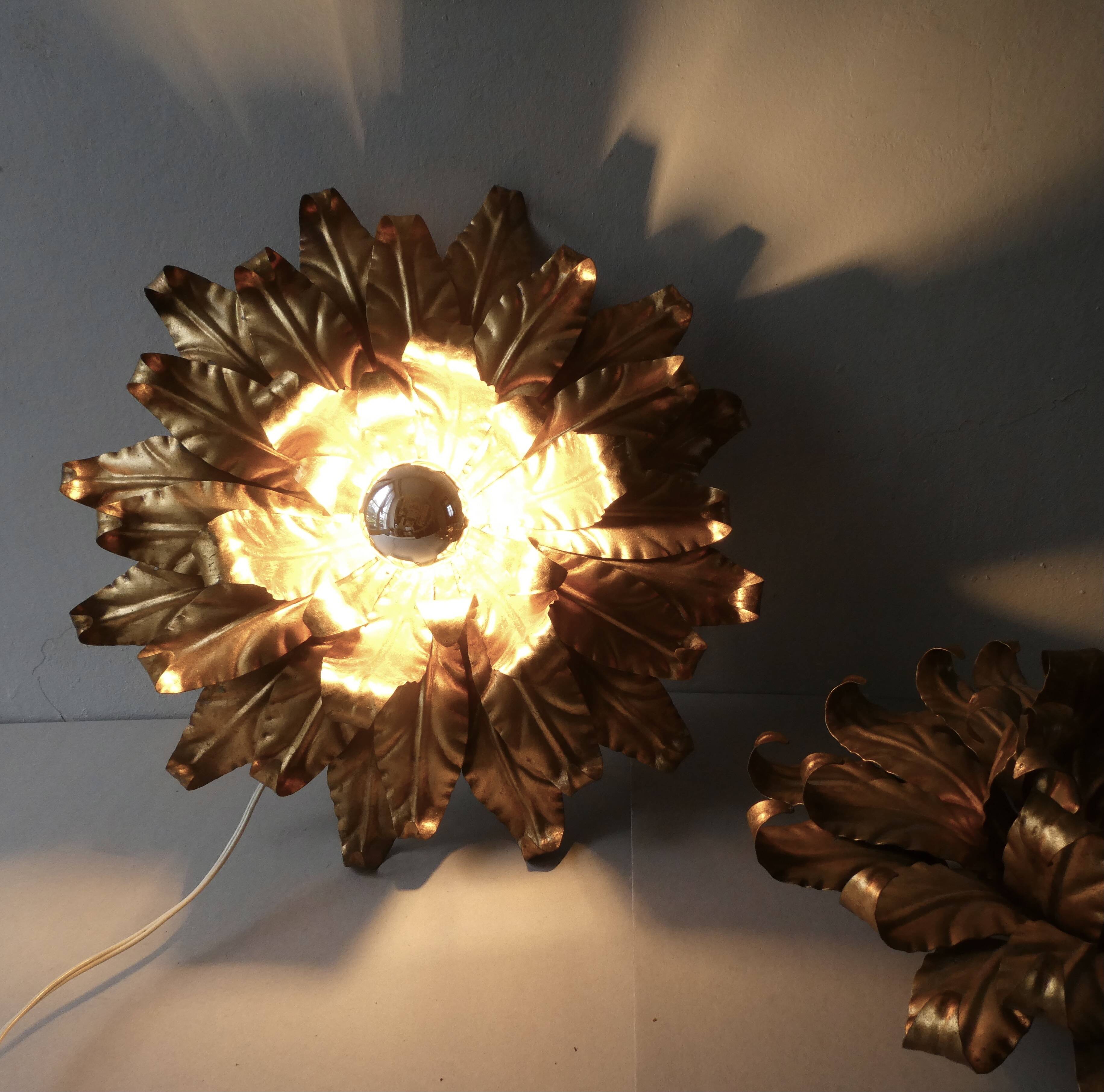 Pair of large flower wall lights in gilded metal, Italy, 1960s