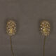 Pair of  bubble glass wall lamps by Helena Tynell for Limburg 1960