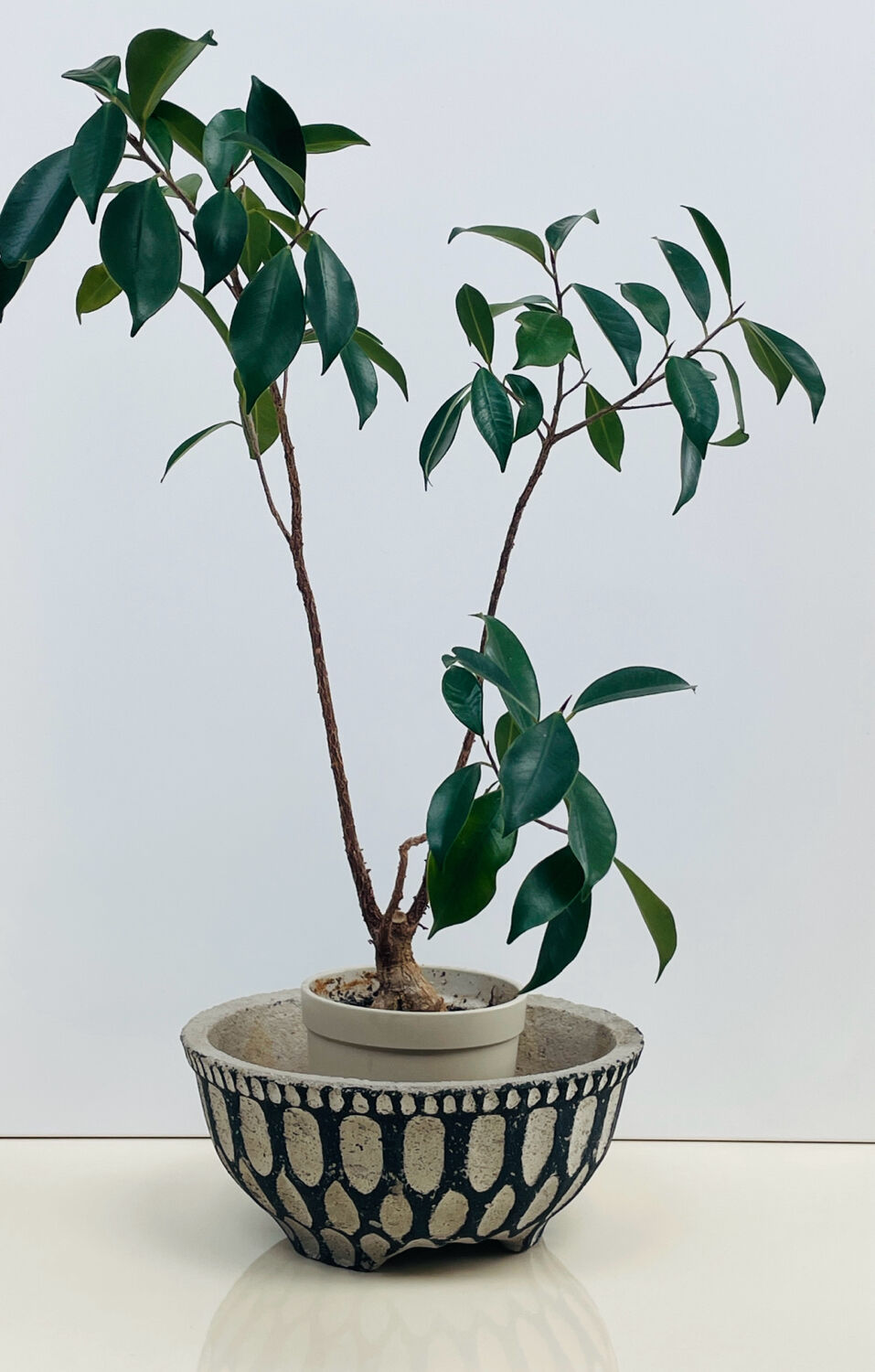 Cache-pot or planter in cement - tripod, brutalist - 1950