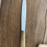 Horn handle knives