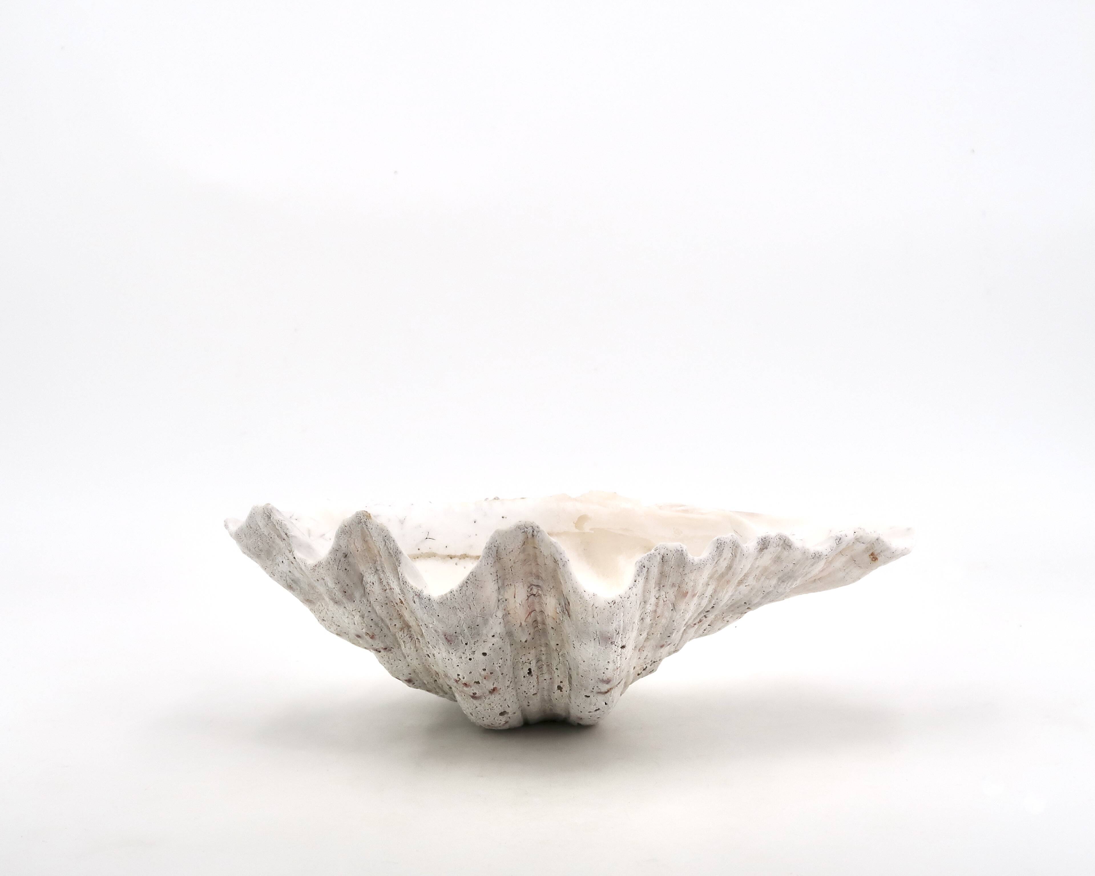 Natural white shell dish, 1970s.