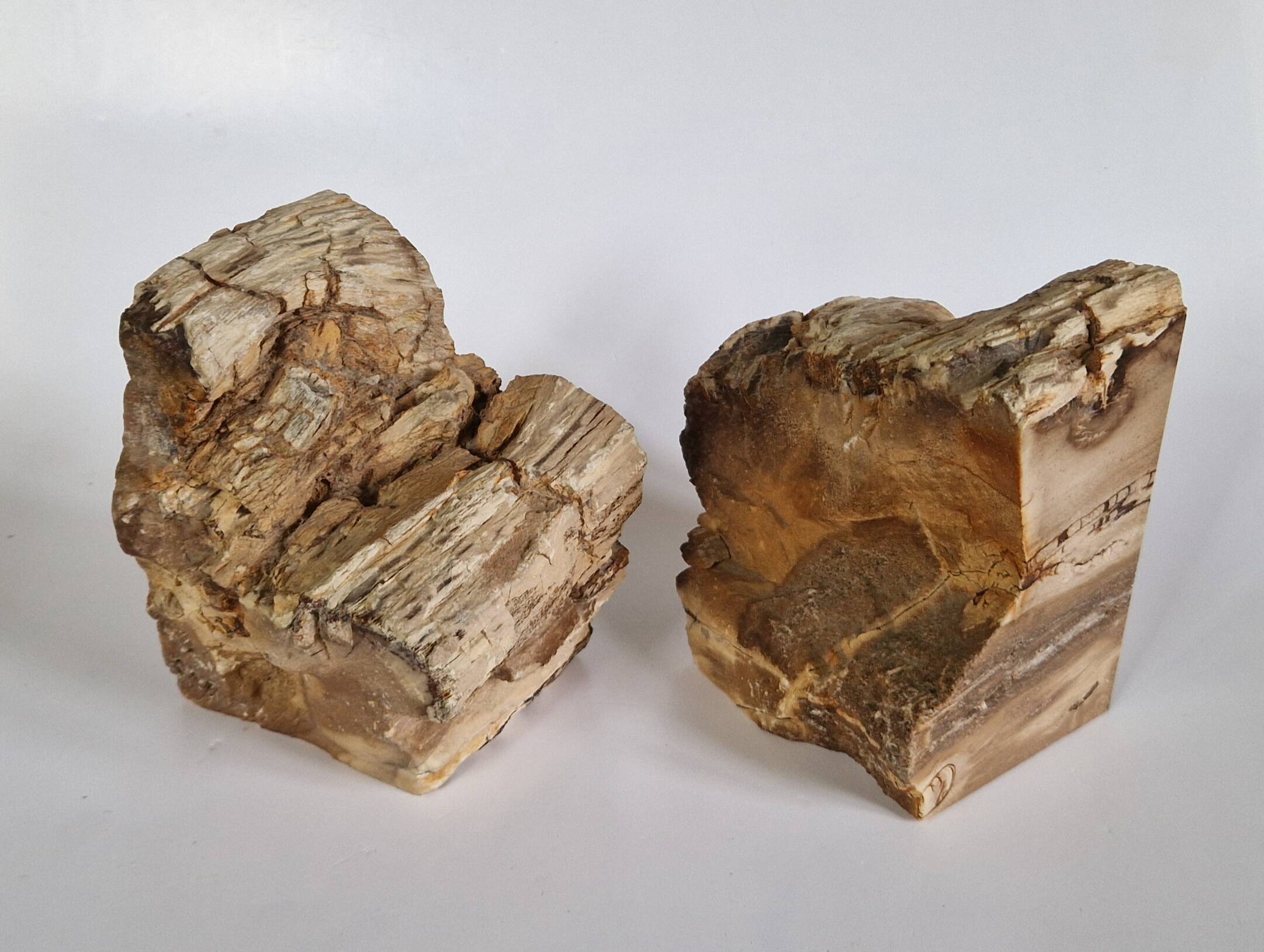 Pair of petrified wood bookends