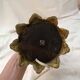 Lot including 2 oil lamps from the 19th century, equipped with their electric wire.