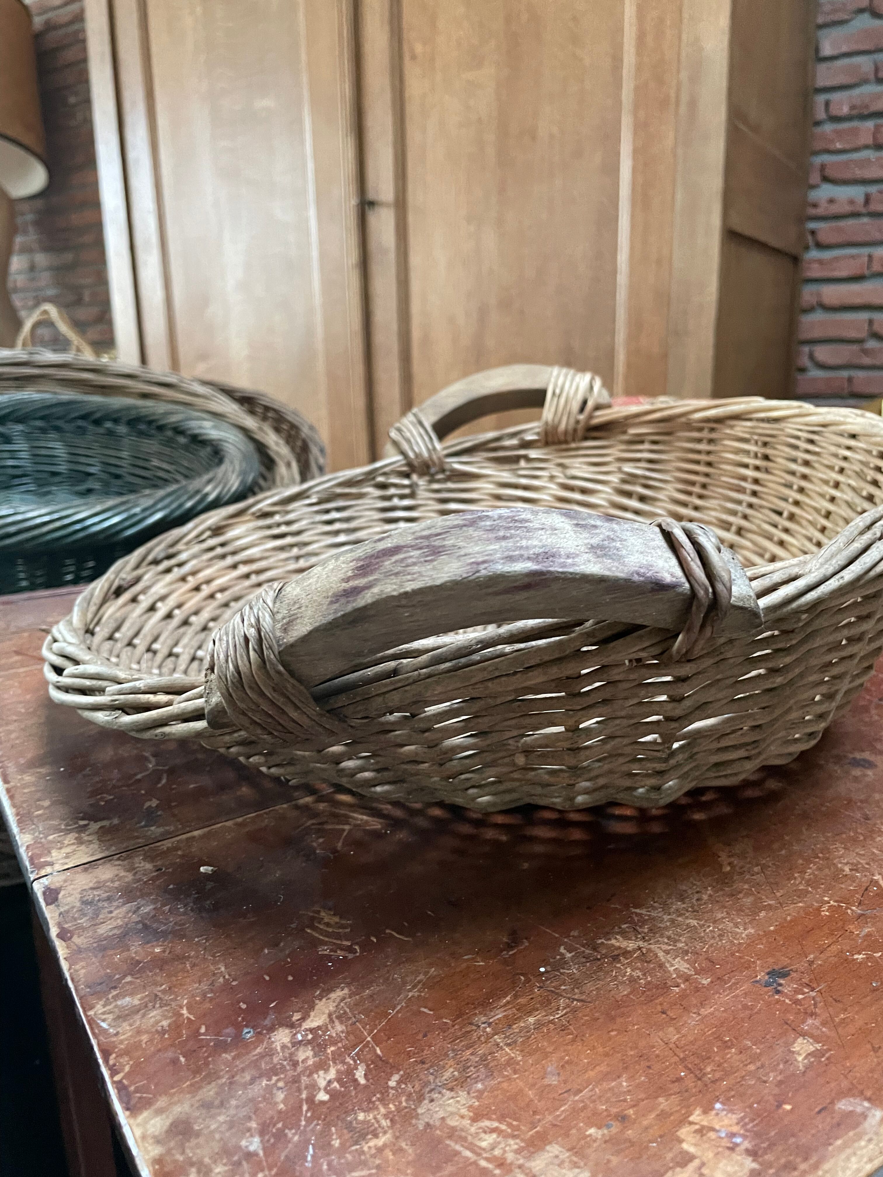 Cabbage Basket