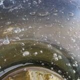 Biot bubble glass salad bowl