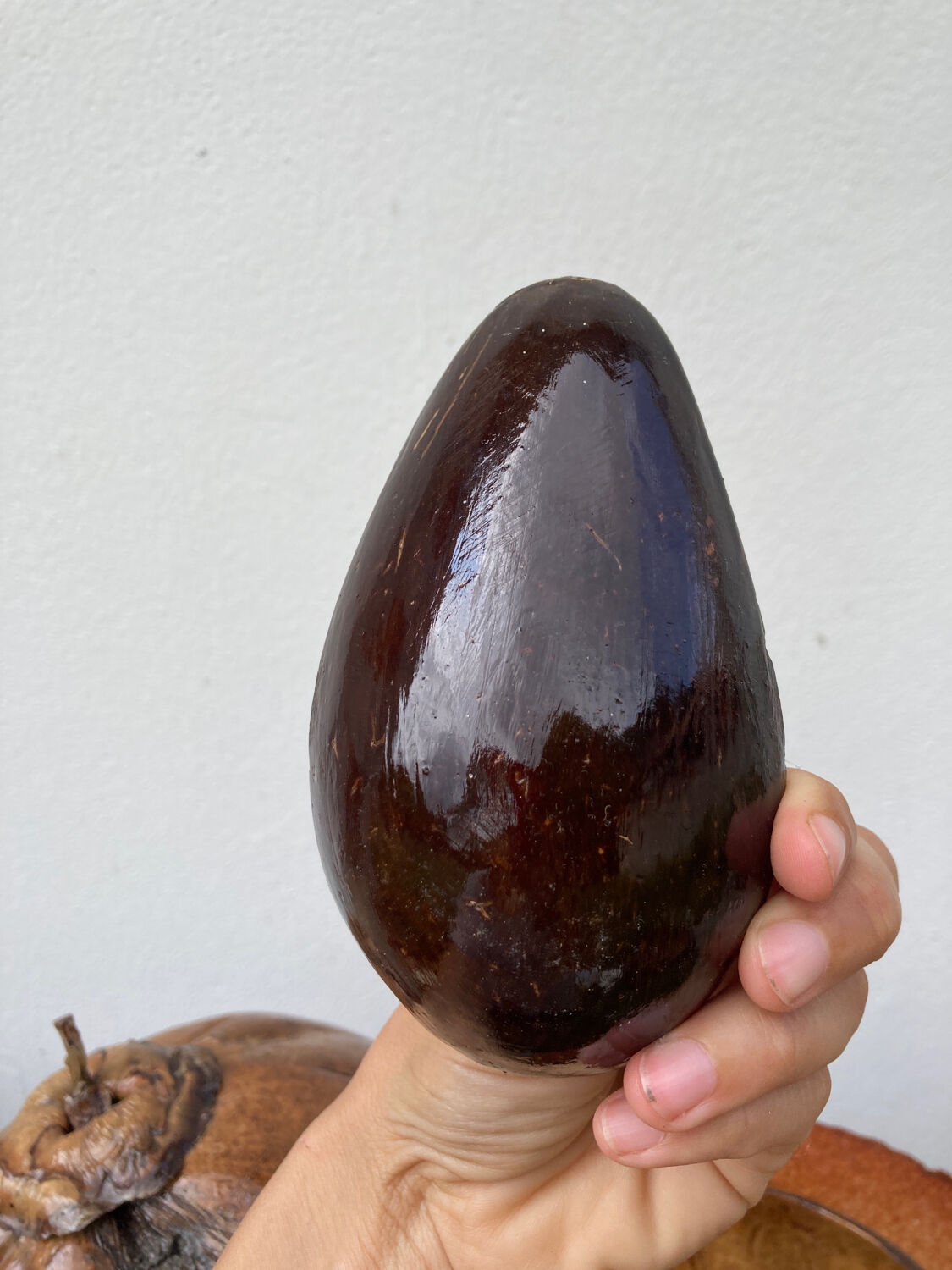 Exotic brutalist coconut ice bucket 1960