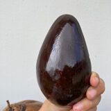 Exotic brutalist coconut ice bucket 1960