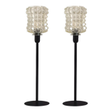 Pair of lamps with a molded glass shade