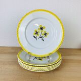 Set of 6 flat plates vintage earthenware