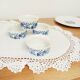 Set of 4 ramekins Pillivuyt Country style