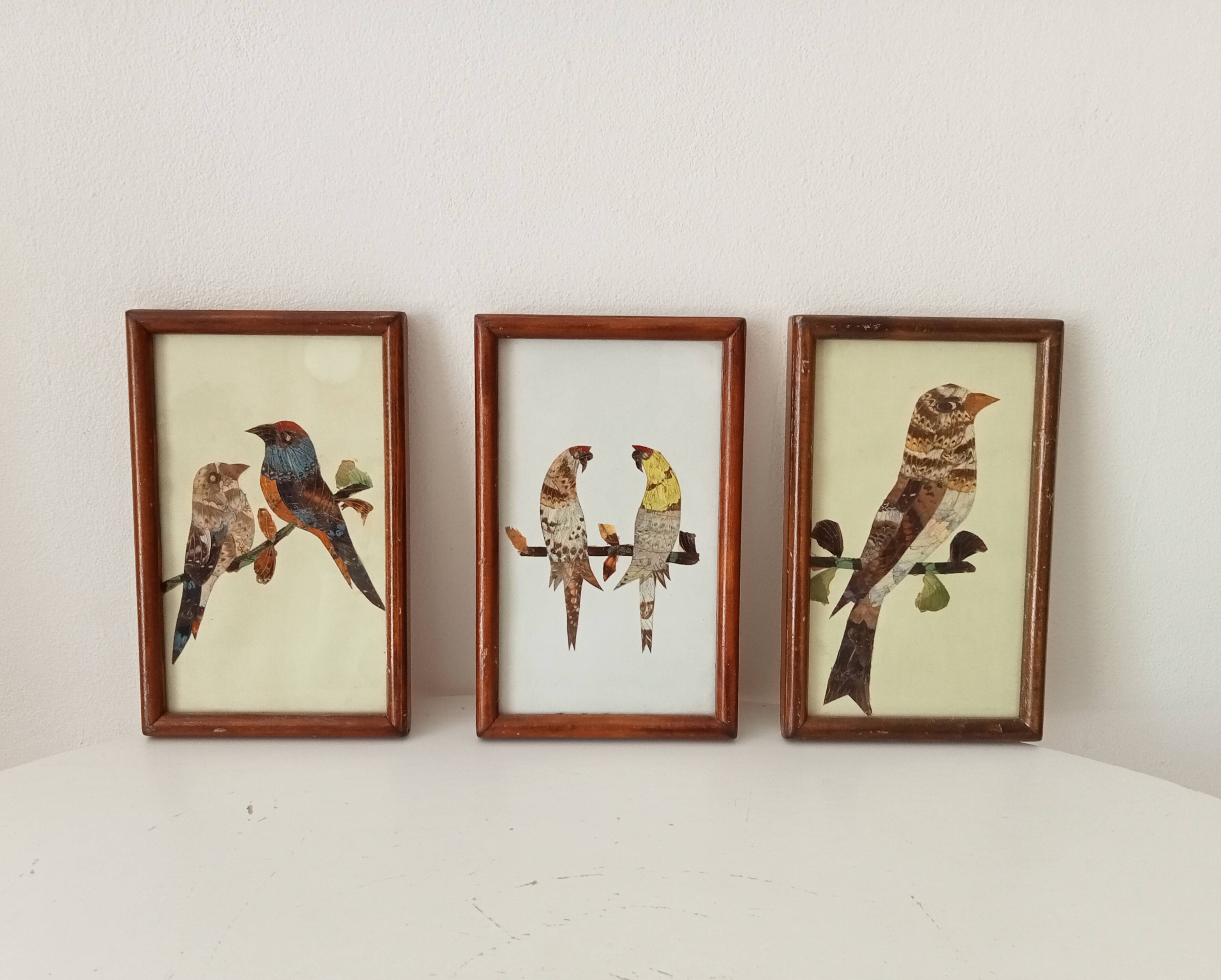 Set of 3 paintings featuring butterfly wing compositions.