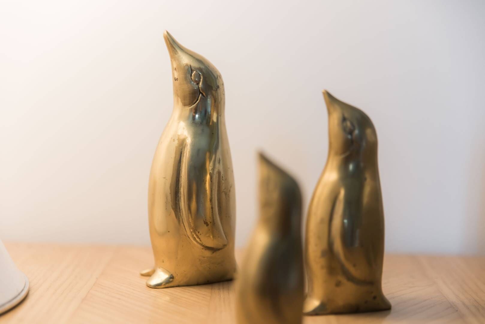 Penguin brass