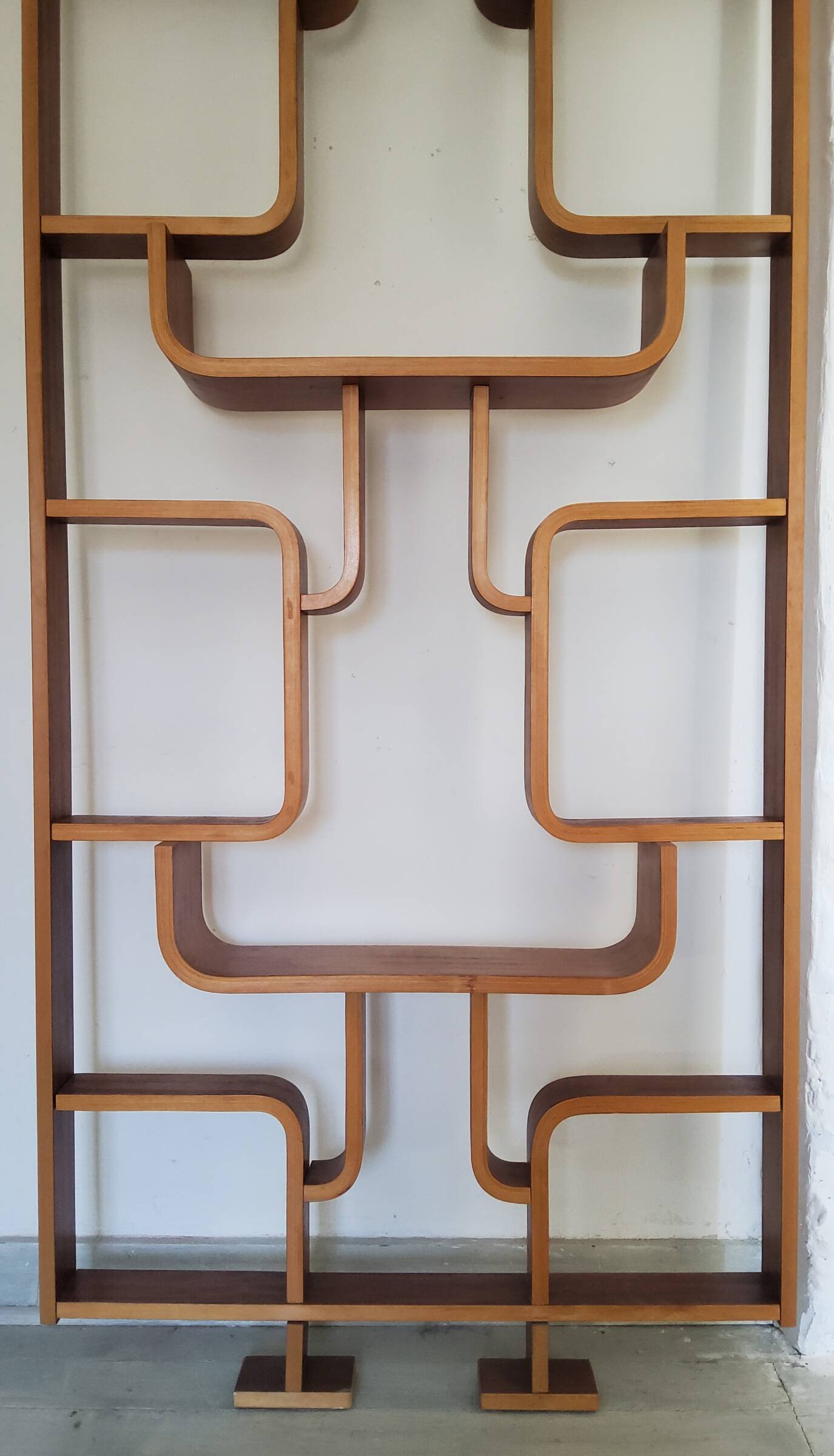 Vintage Czech screen by Ludvik Volak, 1960 for Drevopodnik Holesov