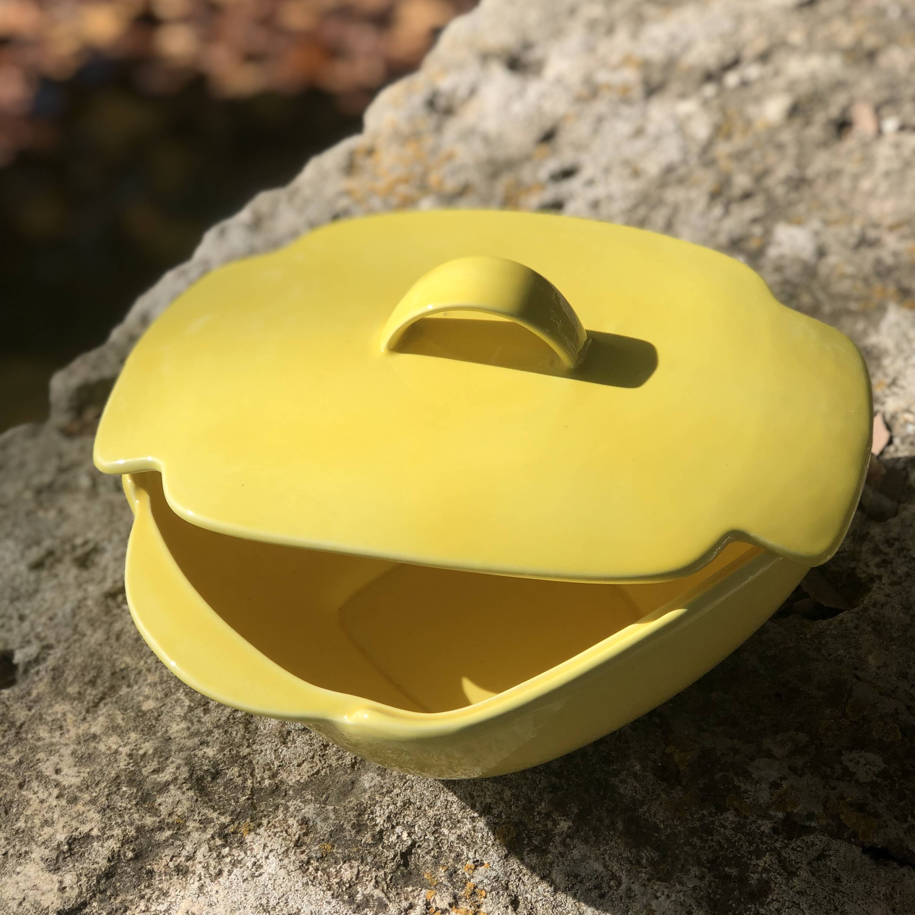 Yellow tureen dish