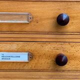 Vintage drawer unit with Bakelite knobs 1950