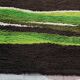 Vintage Desso carpet from the 60s/70s