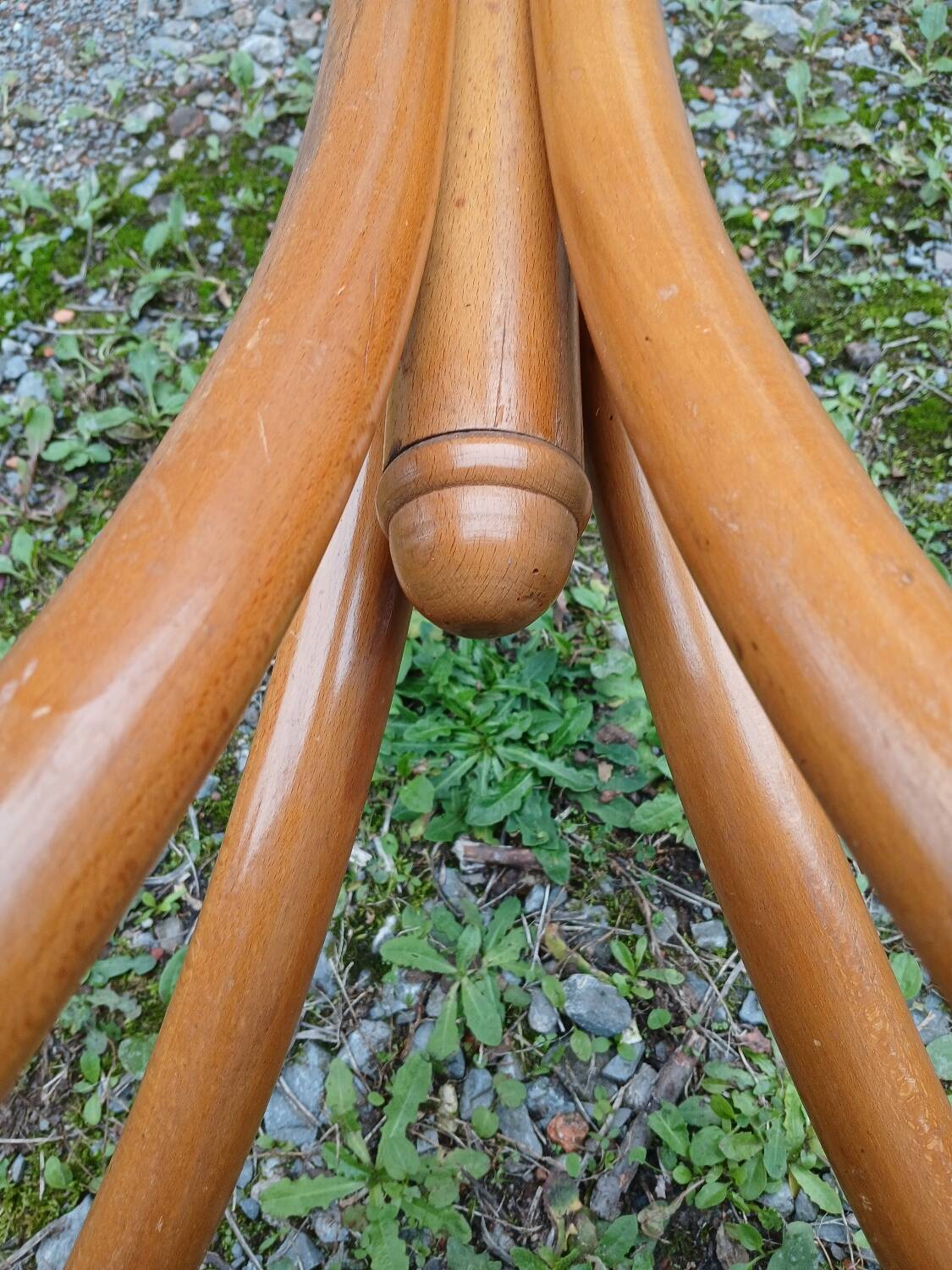 Antique parrot coat rack