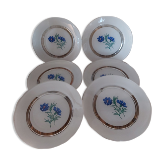 6 Duralex dessert plates