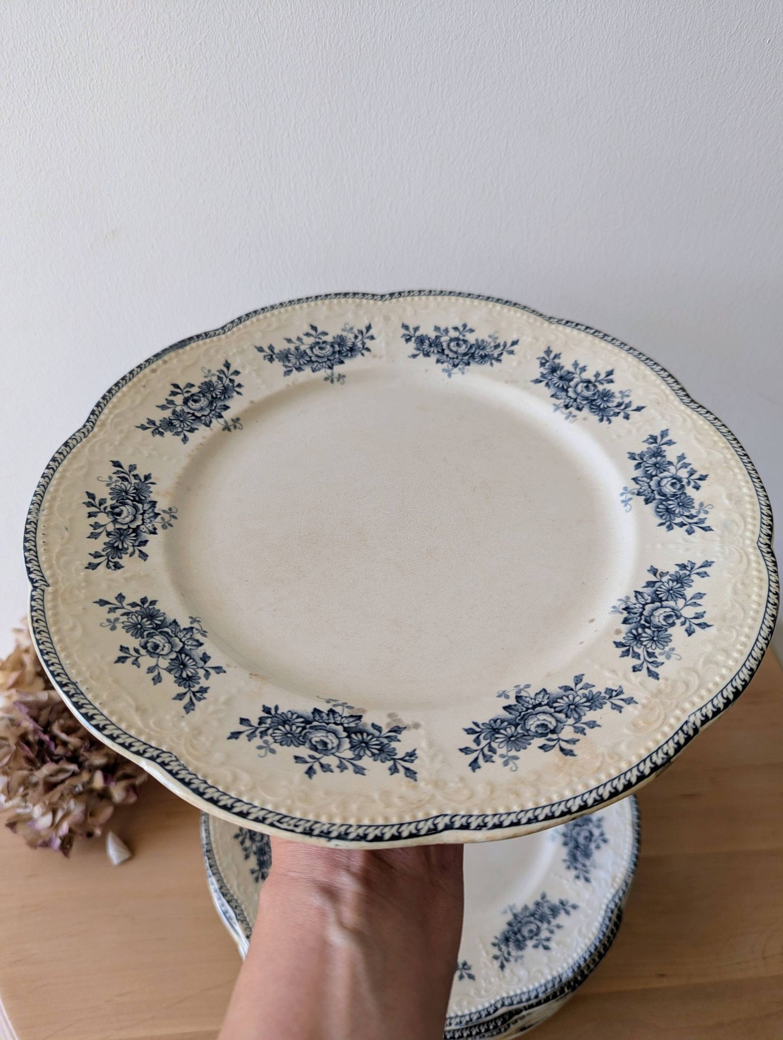 Lot of 10 old Badonviller Richelieu ironstone plates