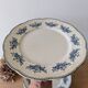Lot of 10 old Badonviller Richelieu ironstone plates