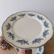 Lot of 10 old Badonviller Richelieu ironstone plates