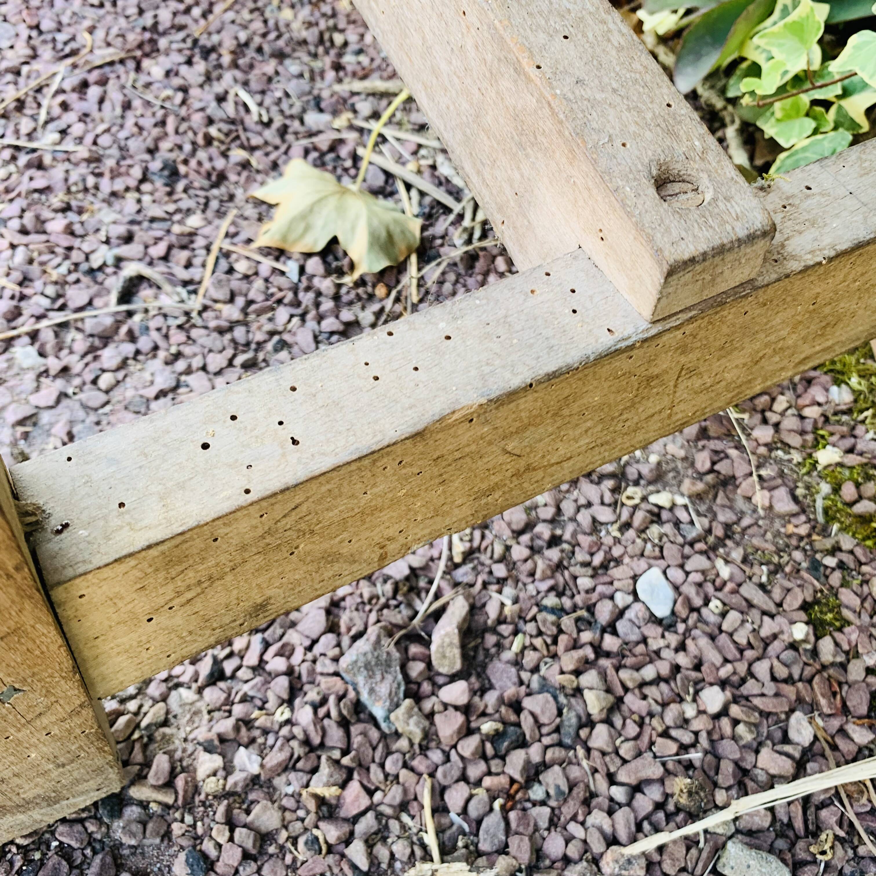 Old wooden church bench with backrest - 3 metres -
