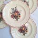 Assiettes plates Digoin Sarreguemines Modèle Lorraine