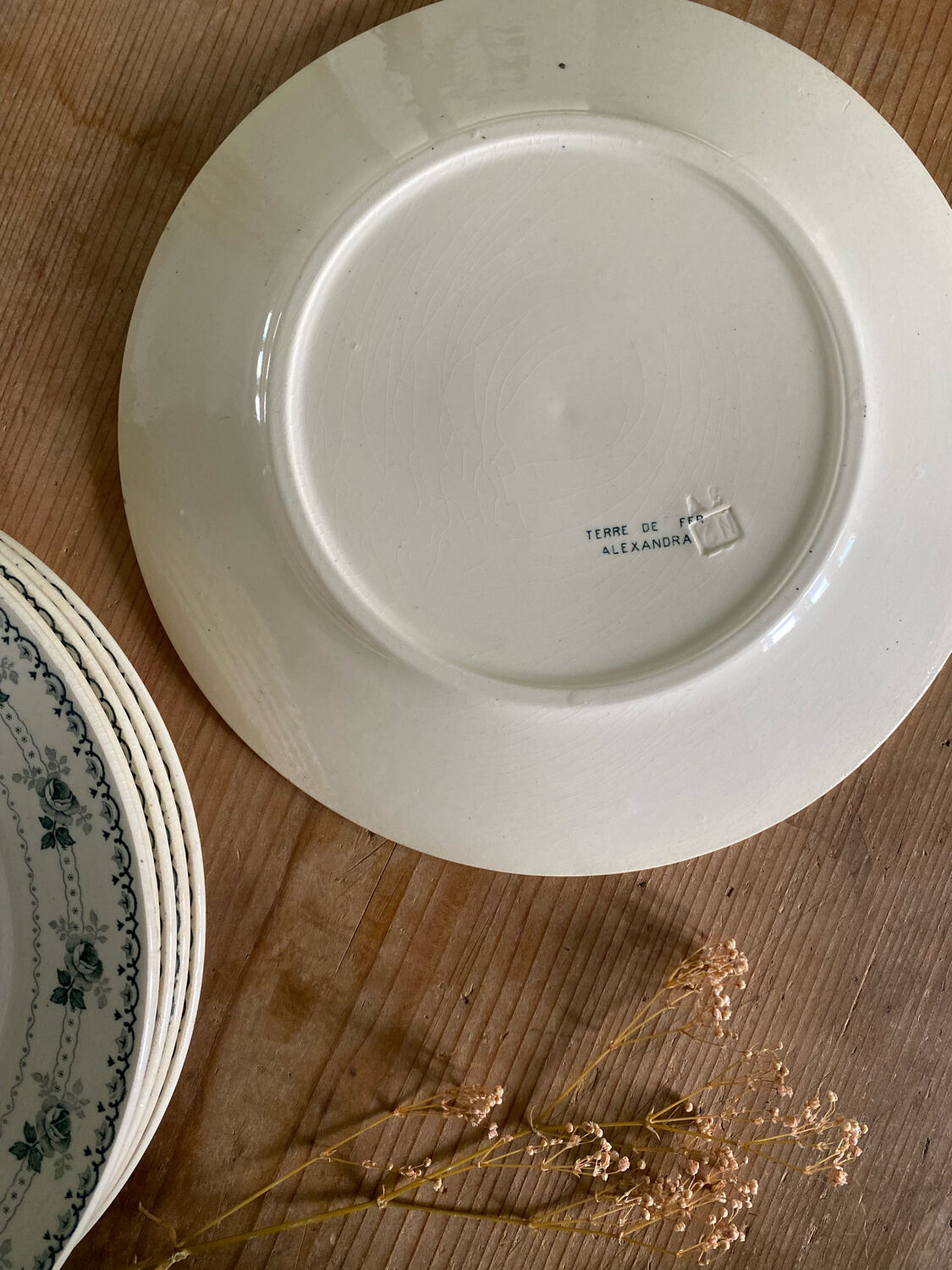 Set of 6 old flat plates, Alexandra iron earth model