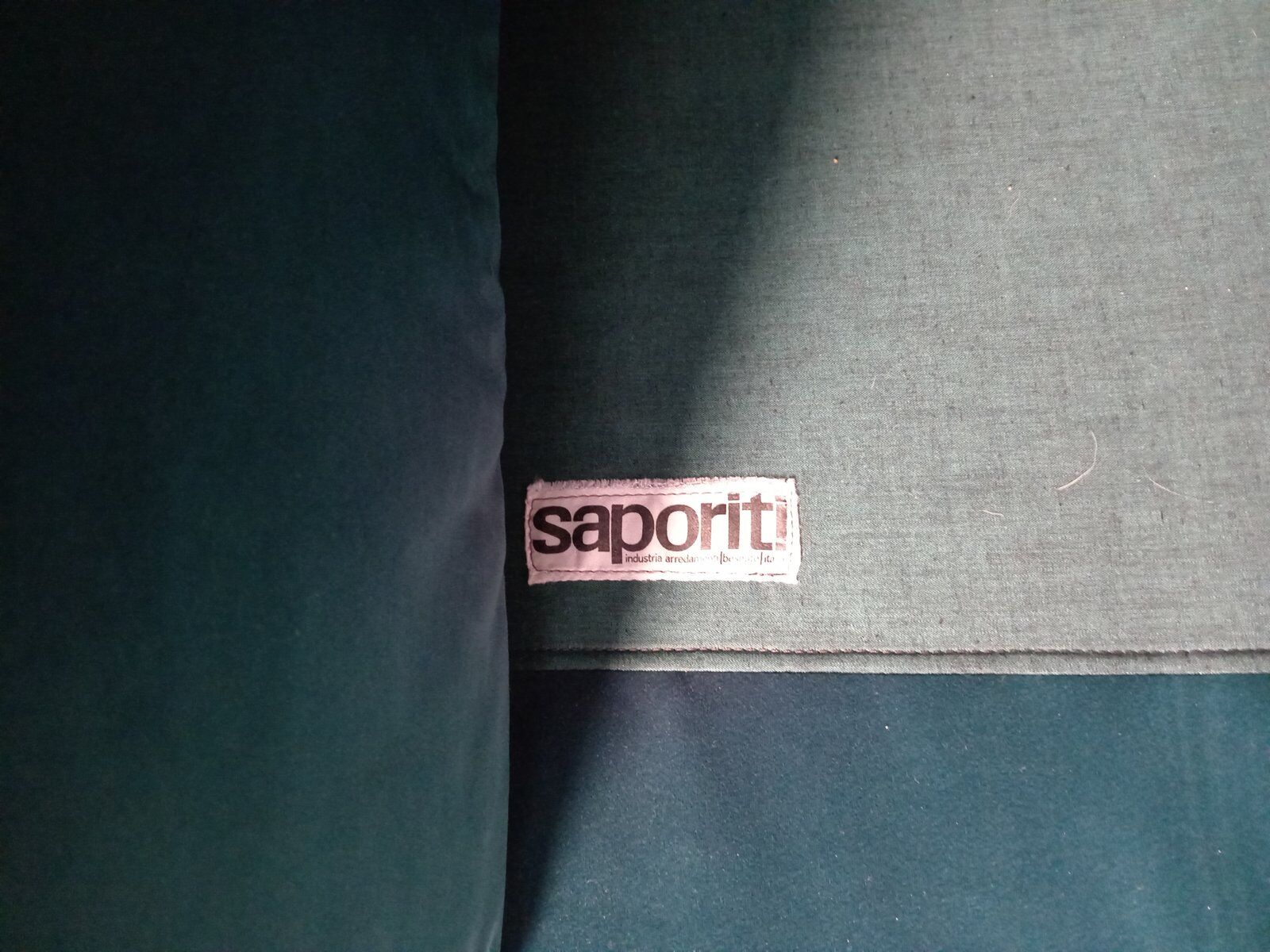 Larissa two-seater sofa by Vittorio Introini for Saporiti, 1970s