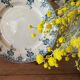 Ironstone dish