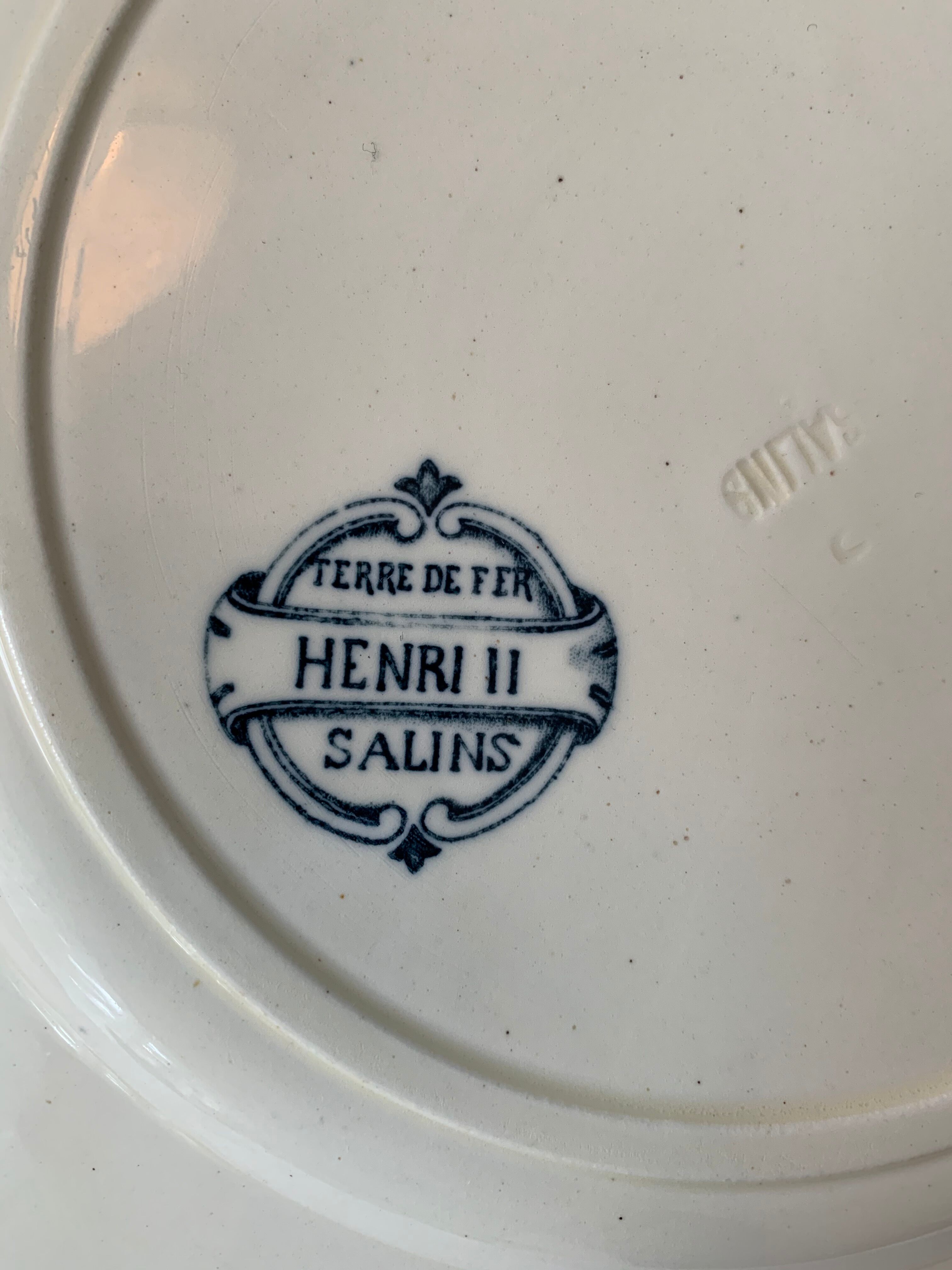 Lot of 12 old flat plates and 2 dishes, Terre de fer Henri II Salins