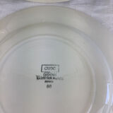 6 old Digoin soup plates