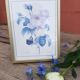 Lithograph Roses de Redouté