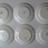 Iron earth 6 flat plates Savigny