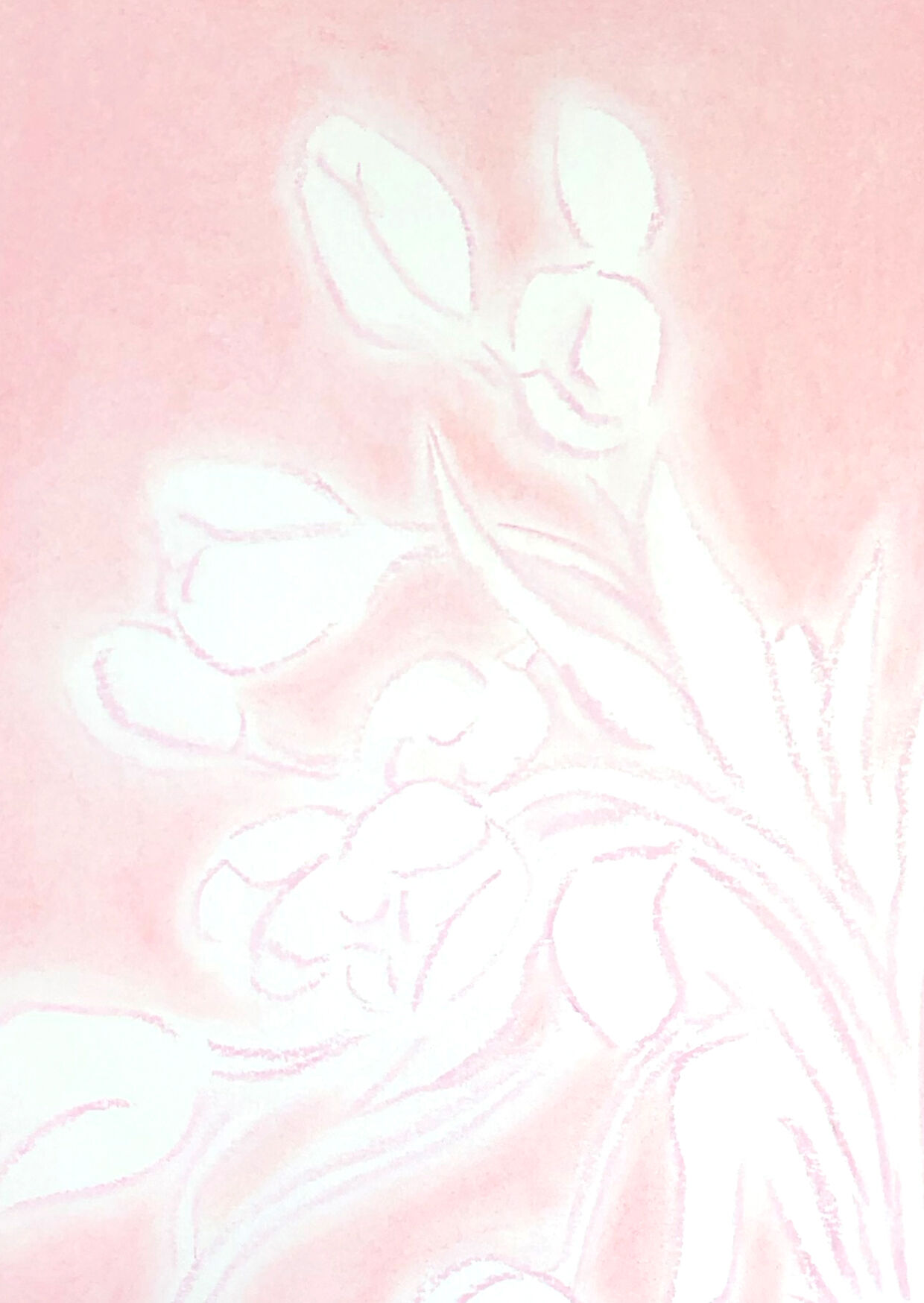 Flowers "Pink Tulips" - Original drawing