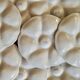 Set of 8 ceramic oyster plates, barbotine, white Gien.