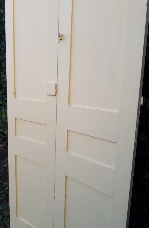 Pair of doors 218,5x92,5cm old closet