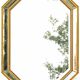 Pareclosed mirror 83.5 x 63 cm