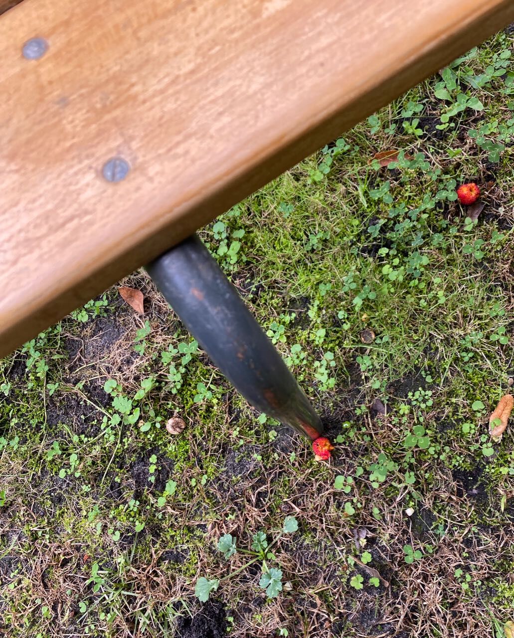 Vintage school bench