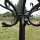 Parrot coat holder in curved wood - Art Nouveau