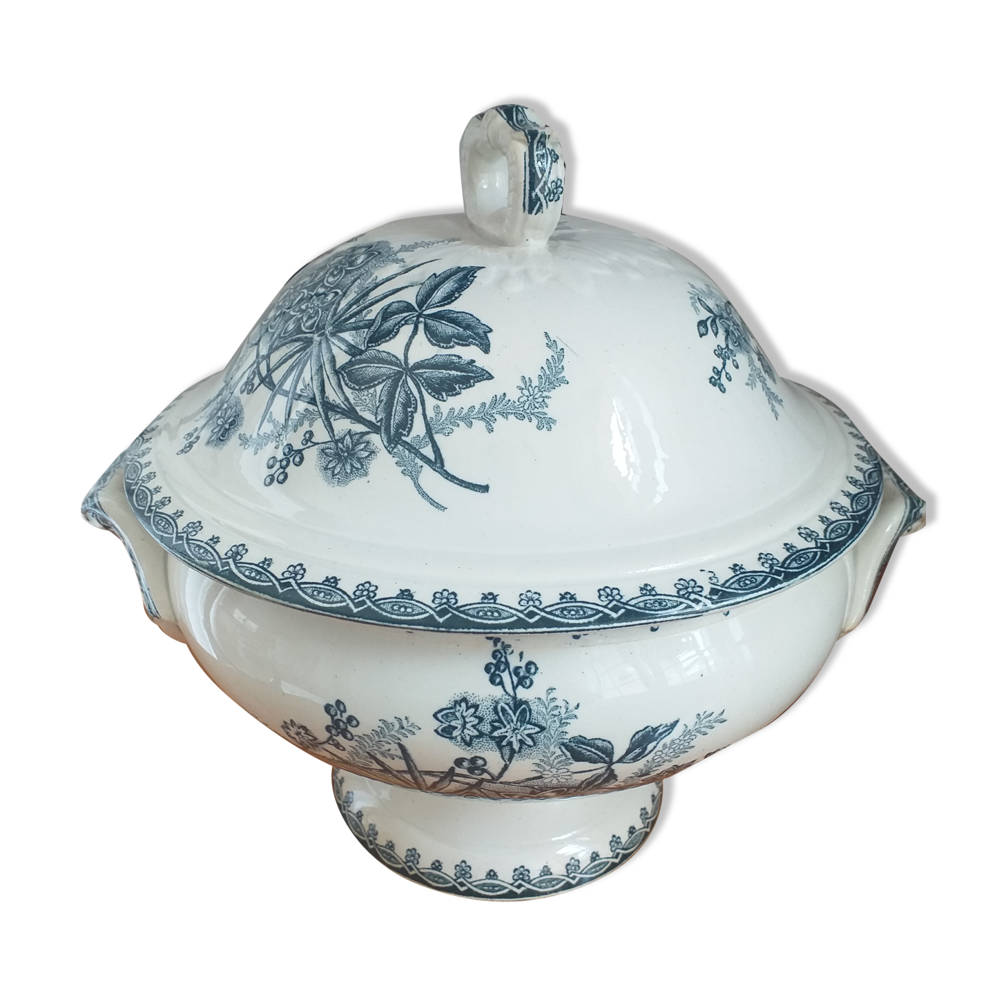 Tureen land iron land company Amandinian model Margot