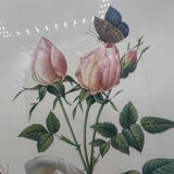 Vintage lithography frame