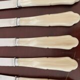 Set of 12 vintage knives and case