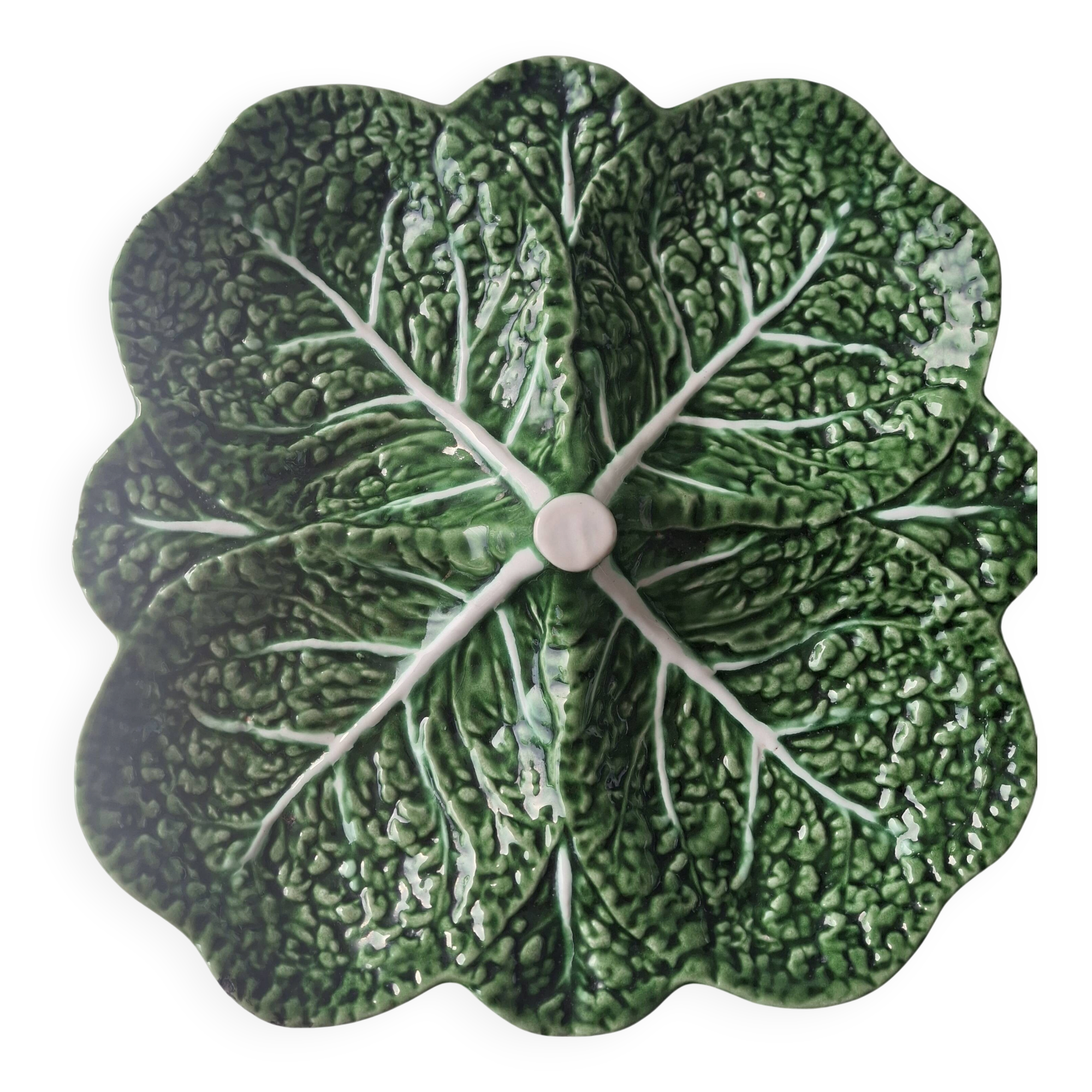 cabbage dish