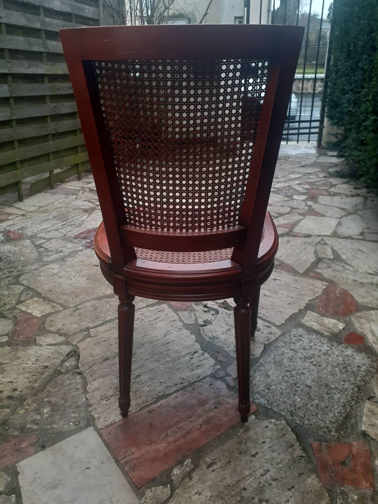 Chaise Cannes en bois sculpté style Louis XVI