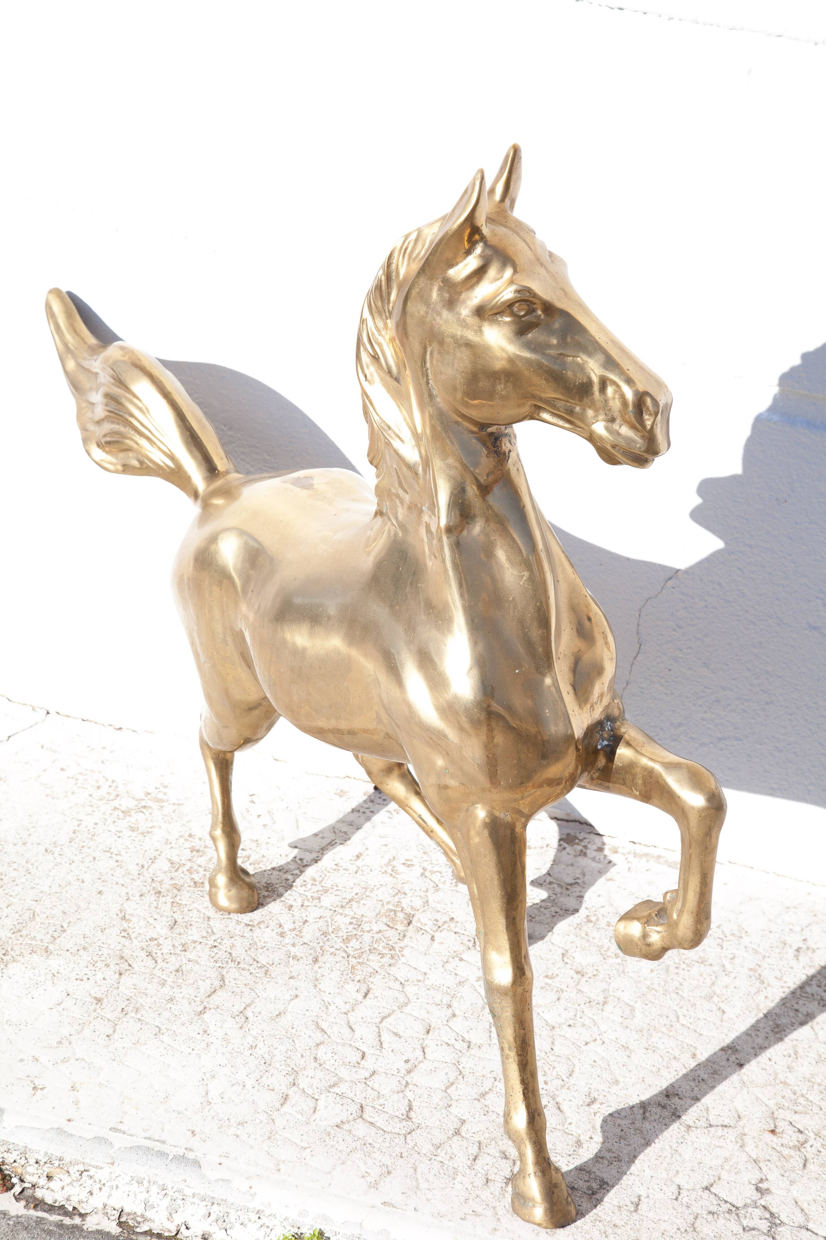 Xl brass horse