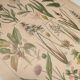 Gravure Originale de 1922 🌿 Flore de Prairie 🌿 Planche ancienne botanique de J.M Dessertene