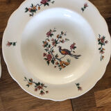Old Art Nouveau porcelain plates Pyroblan
